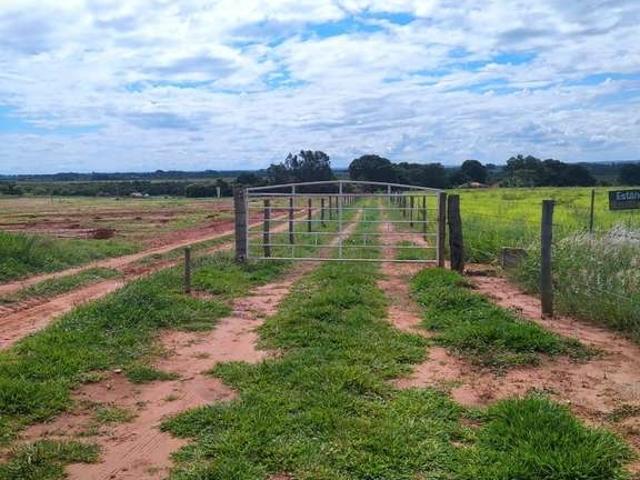 Sítio / Chácara para Venda em Presidente Epitácio/SP Zona Rural