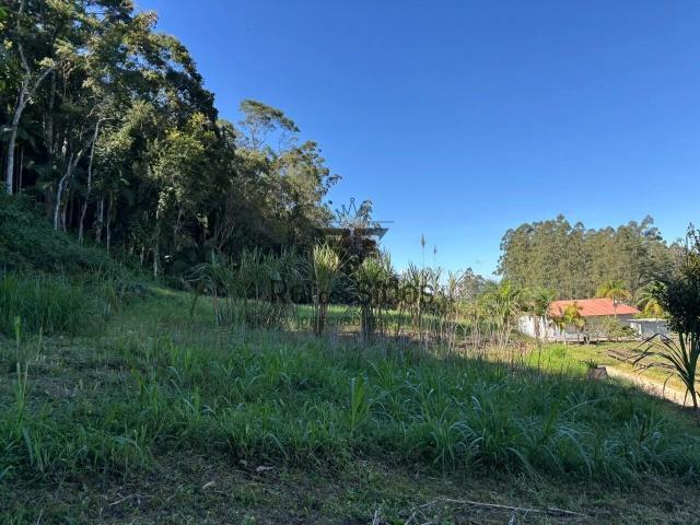 Sítio / Chácara para Venda em Presidente Getúlio/SC Rio Ferro 3 Quartos