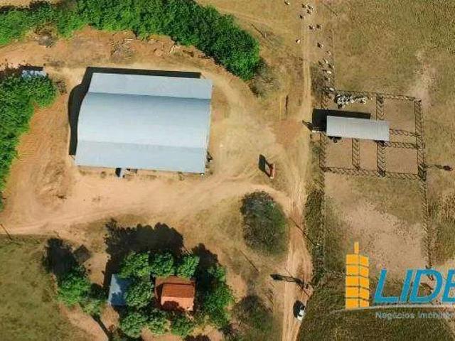 Sítio / Chácara para Venda em Presidente Kennedy/TO Zona Rural