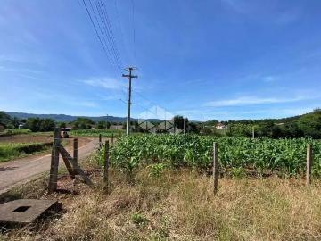Sítio / Chácara para Venda em Presidente Lucena/RS Linha Nova Baixa