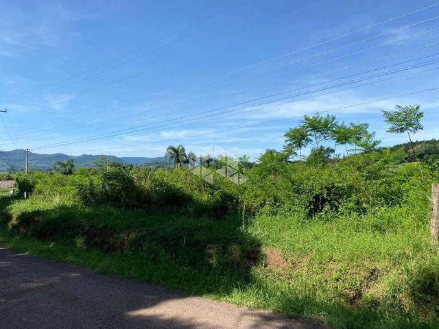 Sítio / Chácara para Venda em Presidente Lucena/RS Linha Nova Baixa