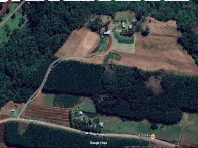Sítio / Chácara para Venda em Presidente Lucena/RS Morro Do Pedro
