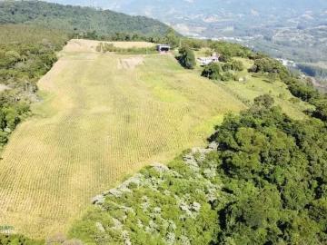 Sítio / Chácara para Venda em Presidente Lucena/RS Morro Do Pedro