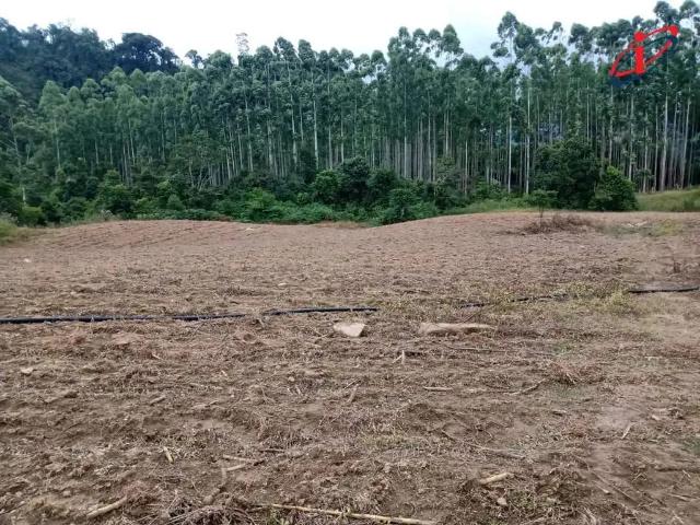 Sítio / Chácara para Venda em Presidente Nereu/SC Centro