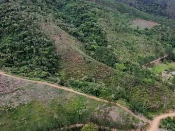Sítio / Chácara para Venda em Presidente Nereu/SC Zona Rural