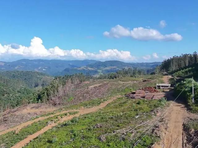 Sítio / Chácara para Venda em Presidente Nereu/SC Zona Rural 2 Quartos