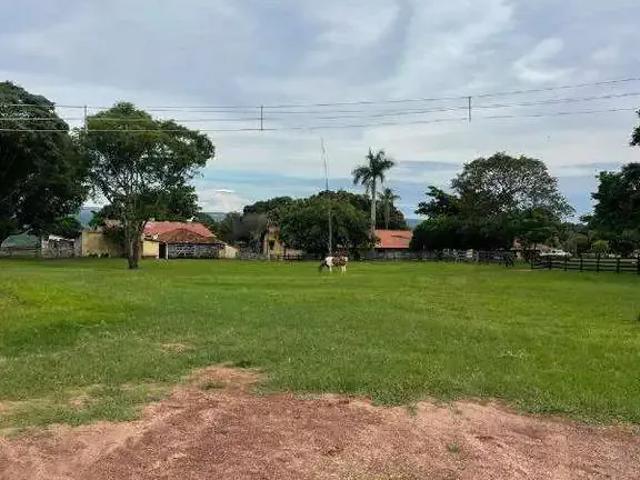 Sítio / Chácara para Venda em Presidente Olegário/MG Zona Rural