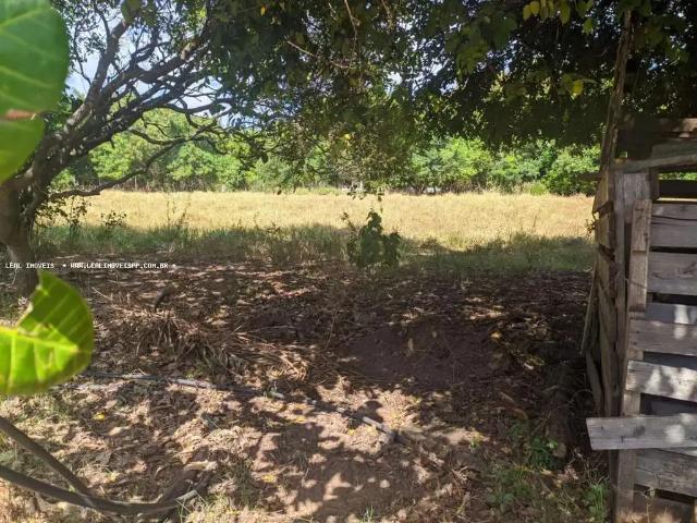 Sítio / Chácara para Venda em Presidente Prudente/SP Residencial Anita Tiezzi