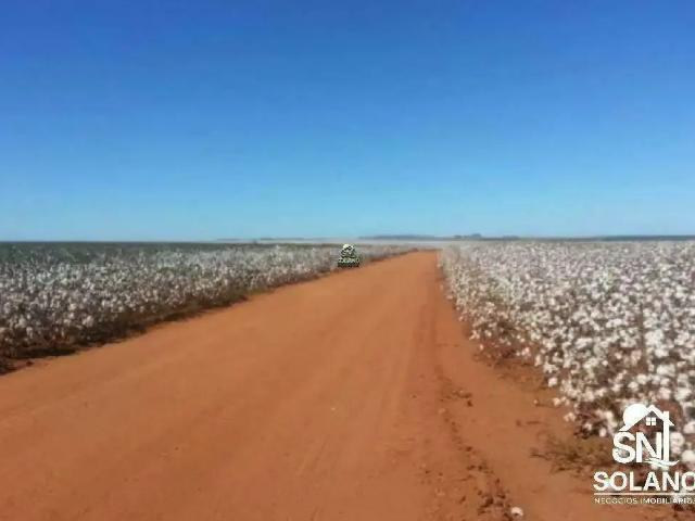 Sítio / Chácara para Venda em Primavera do Leste/MT Centro 3 Quartos