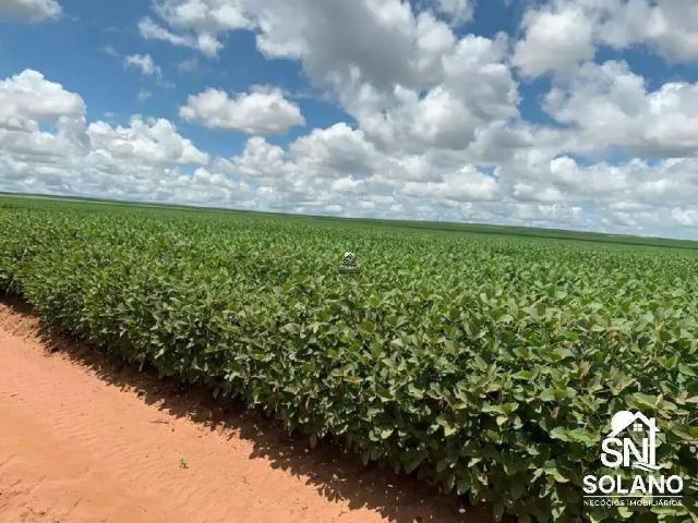 Sítio / Chácara para Venda em Primavera do Leste/MT Zona Rural 3 Quartos