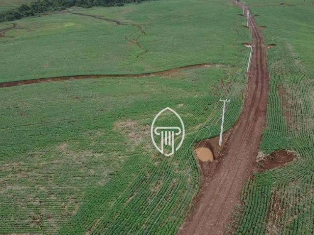 Sítio / Chácara para Venda em Primeiro de Maio/PR Centro