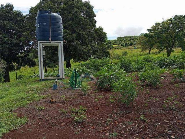 Sítio / Chácara para Venda em Primeiro de Maio/PR Zona Rural