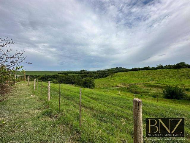 Sítio / Chácara para Venda em Primeiro de Maio/PR Zona Rural