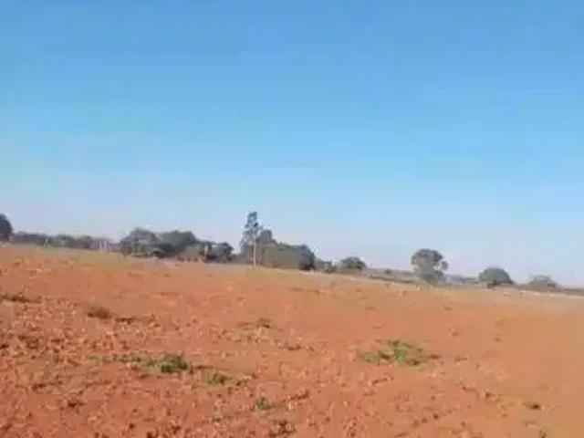 Sítio / Chácara para Venda em Promissão/SP Zona Rural 2 Quartos