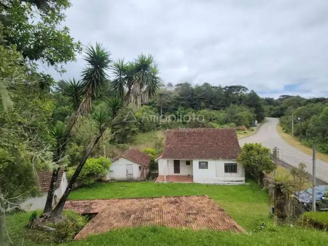 Sítio / Chácara para Venda em Quatro Barras/PR Borda do Campo