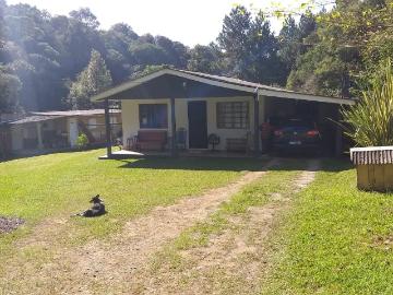 Sítio / Chácara para Venda em Quatro Barras/PR Centro 3 Quartos