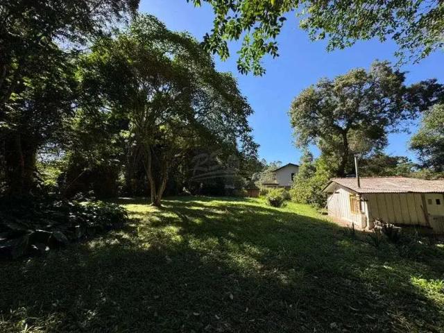 Sítio / Chácara para Venda em Quatro Barras/PR Granja das Acácias
