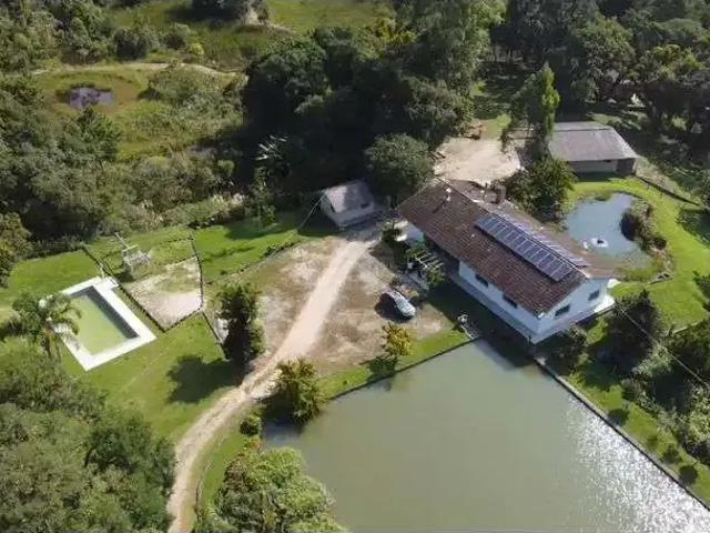 Sítio / Chácara para Venda em Quatro Barras/PR Palmitalzinho 4 Quartos