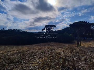 Monte à venda em Quatro Barras