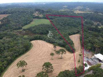 Monte à venda em Quatro Barras