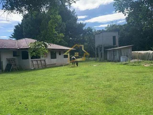 Sítio / Chácara para Venda em Quatro Barras/PR Pocinho 2 Quartos