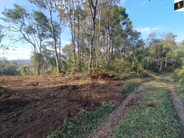 Sítio / Chácara para Venda em Quatro Barras/PR Ribeirão do Tigre