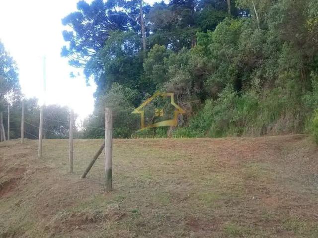 Sítio / Chácara para Venda em Quatro Barras/PR Ribeirão do Tigre