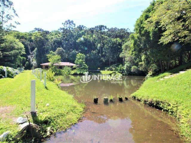 Sítio / Chácara para Venda em Quatro Barras/PR Zona Rural 4 Quartos