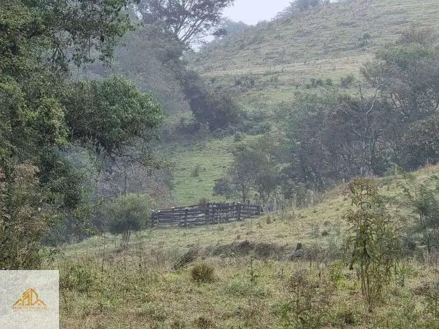 Sítio / Chácara para Venda em Quilombo/SC Centro