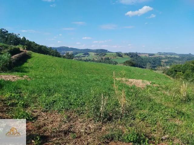 Sítio / Chácara para Venda em Quilombo/SC Centro