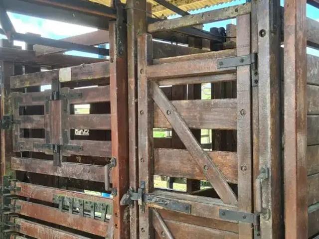 Sítio / Chácara para Venda em Quipapá/PE Zona Rural