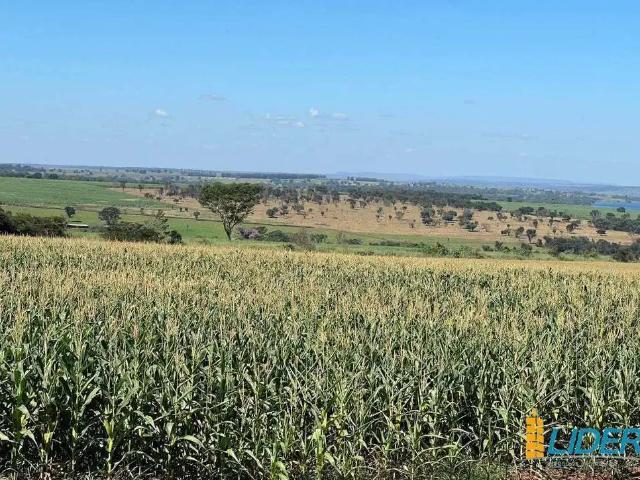 Sítio / Chácara para Venda em Quirinópolis/GO Área Rural de Quirinópolis
