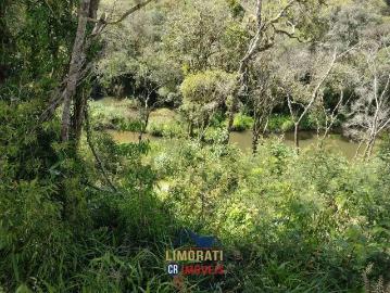 Sítio / Chácara para Venda em Quitandinha/PR Zona Rural 1 Quartos