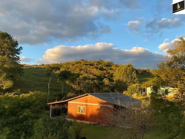 Sítio / Chácara para Venda em Quitandinha/PR Zona Rural 2 Quartos