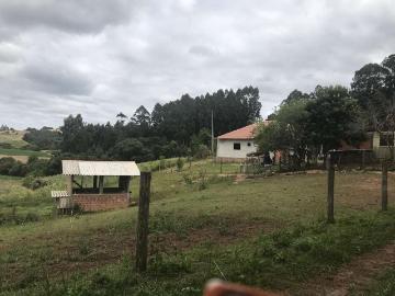 Sítio / Chácara para Venda em Quitandinha/PR Zona Rural 5 Quartos