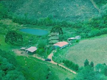 Sítio / Chácara para Venda em Quitandinha/PR Zona Rural