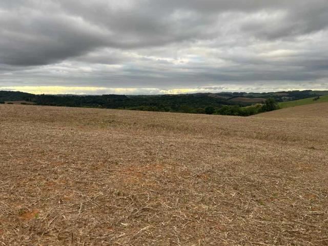 Sítio / Chácara para Venda em Quitandinha/PR Área Rural
