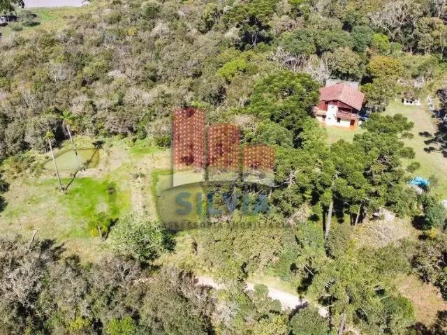 Sítio / Chácara para Venda em Quitandinha/PR Campina de Quitandinha 4 Quartos