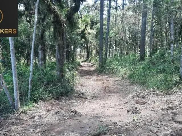 Sítio / Chácara para Venda em Quitandinha/PR Campina de Quitandinha
