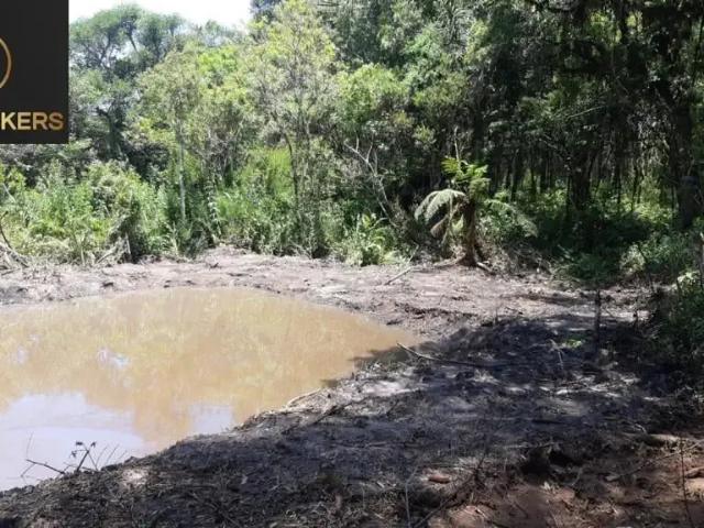 Sítio / Chácara para Venda em Quitandinha/PR Campina de Quitandinha
