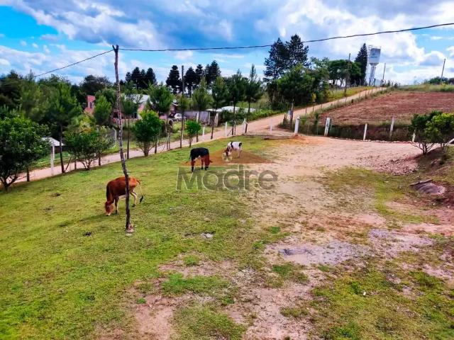 Sítio / Chácara para Venda em Quitandinha/PR Centro 3 Quartos