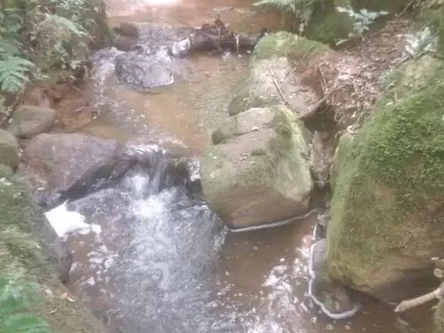 Sítio / Chácara para Venda em Quitandinha/PR Centro