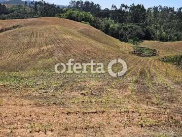Sítio / Chácara para Venda em Quitandinha/PR Centro