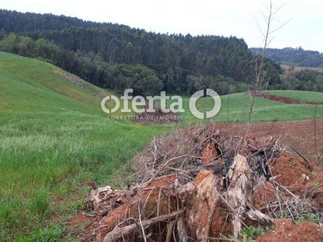 Sítio / Chácara para Venda em Quitandinha/PR Centro