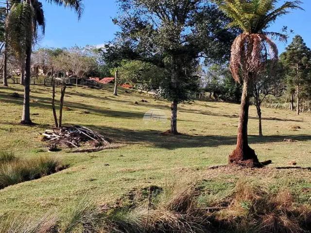 Sítio / Chácara para Venda em Quitandinha/PR Doce Grande 4 Quartos