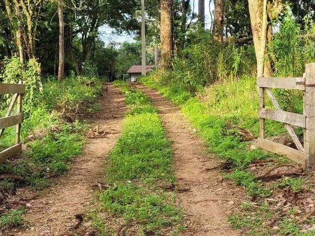 Sítio / Chácara para Venda em Quitandinha/PR Pangaré 3 Quartos
