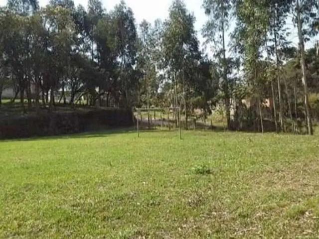 Sítio / Chácara para Venda em Quitandinha/PR Rio Da Várzea