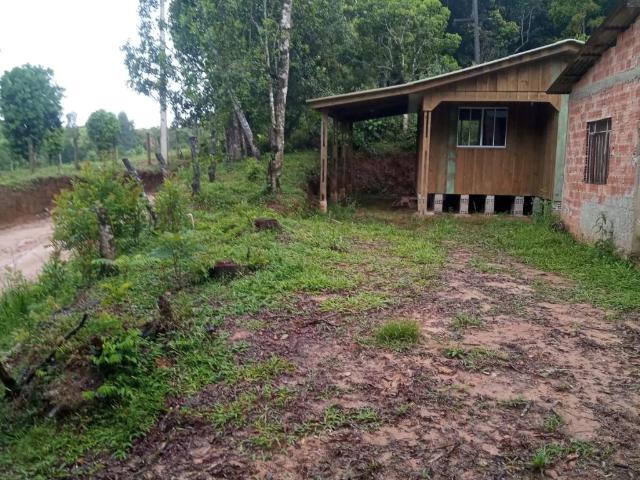 Sítio / Chácara para Venda em Quitandinha/PR Rio Da Várzea