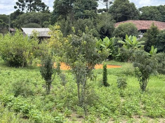 Sítio / Chácara para Venda em Quitandinha/PR Rio Da Várzea