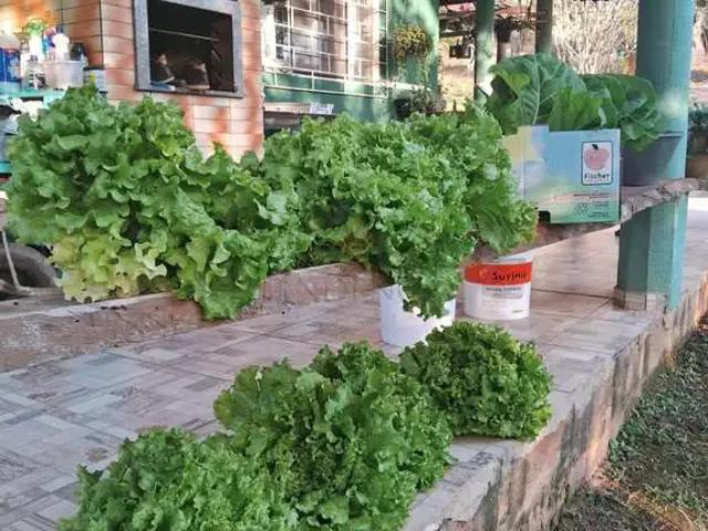 Sítio / Chácara para Venda em Quitandinha/PR Ribeirão Vermelho 3 Quartos